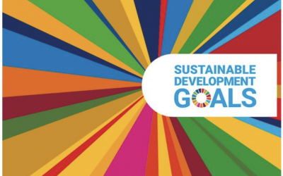 ISO 14001 AND THE SUSTAINABLE DEVELOPMENT GOALS: A COMBINATION FOR A RESILIENT FUTURE